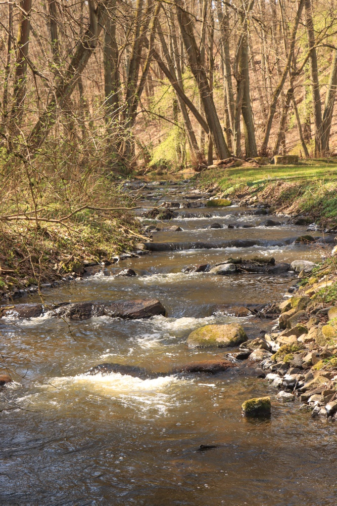Schlaube