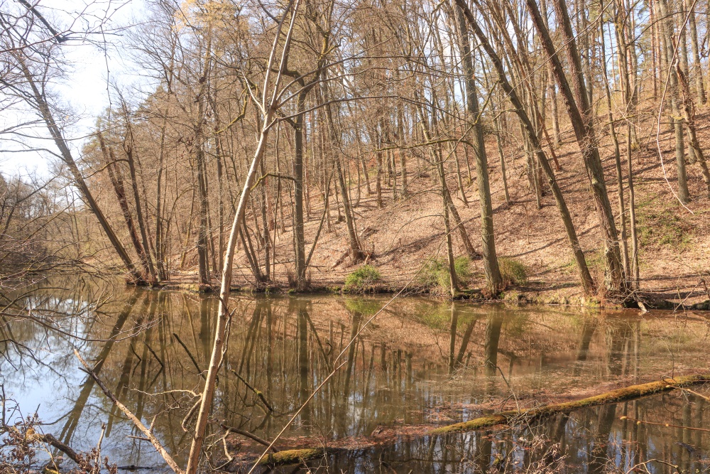 Schlaube