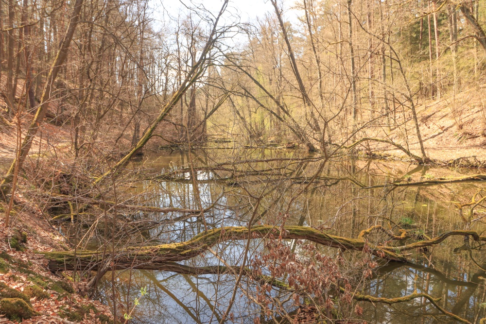 Schlaube