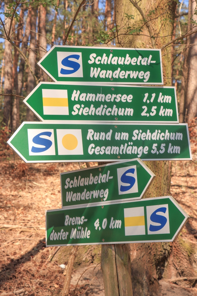Schlaube