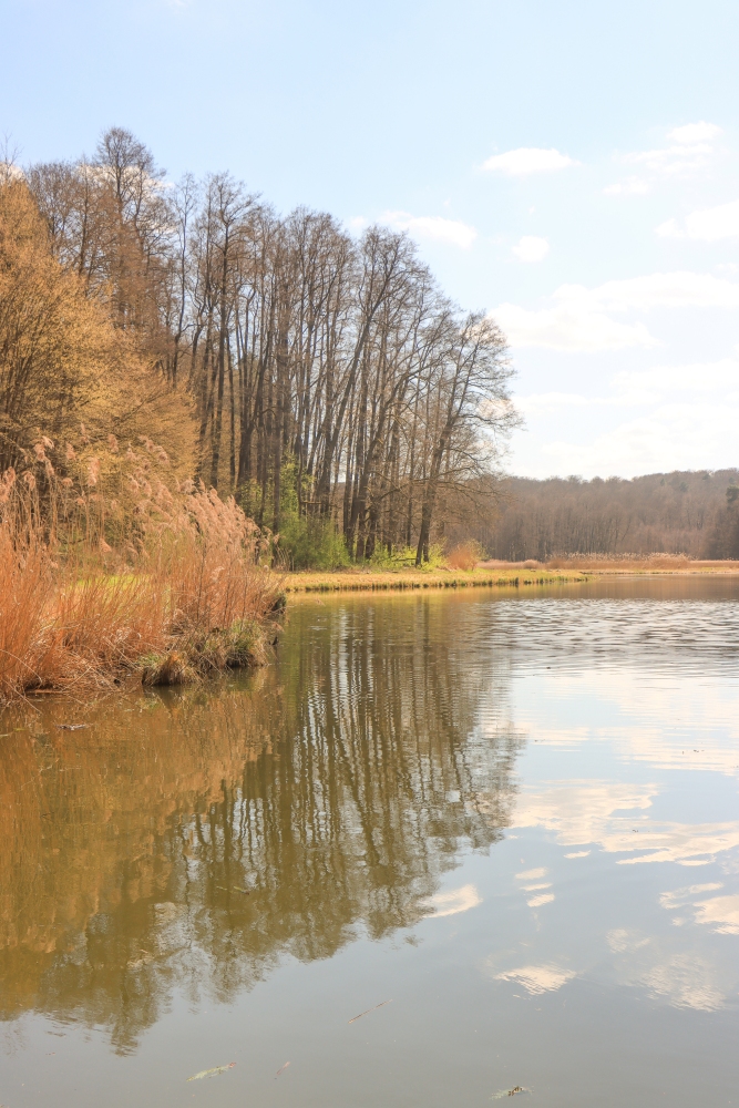 Schlaube