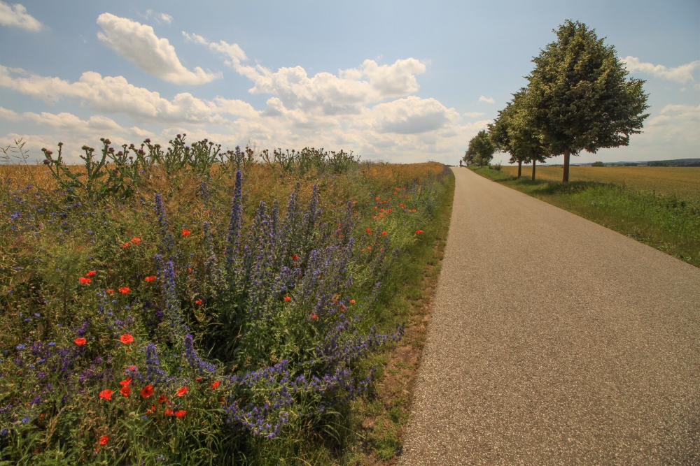 Uckermark