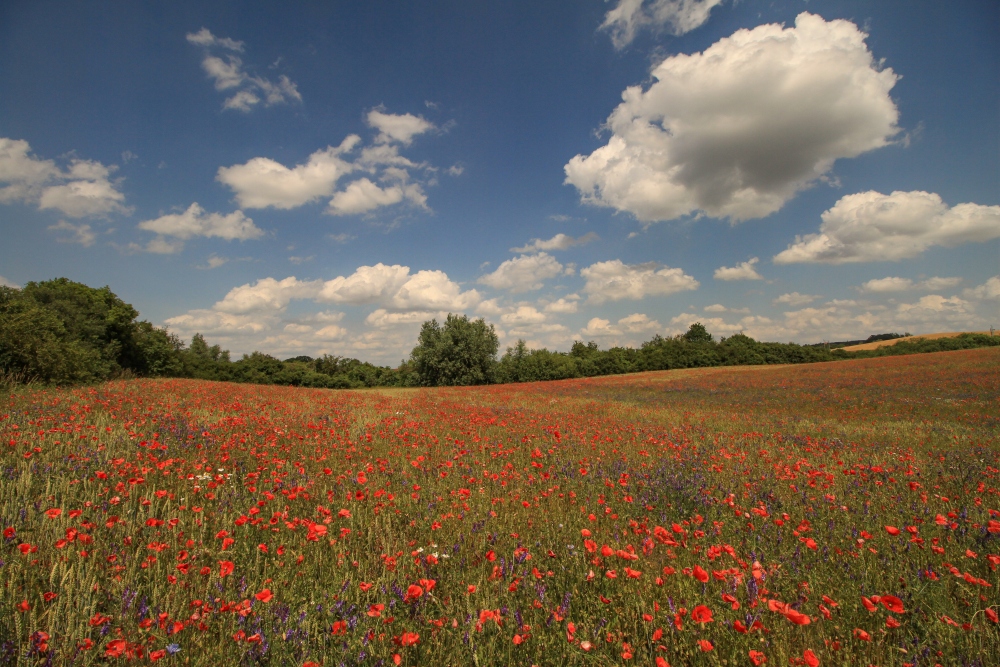 Uckermark