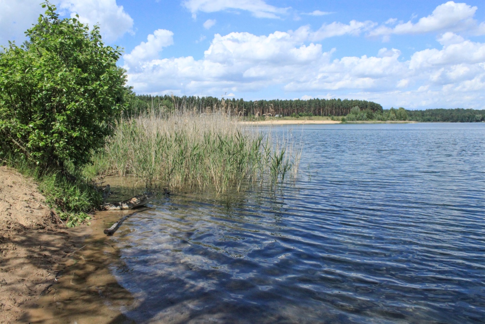 Oder-Spree