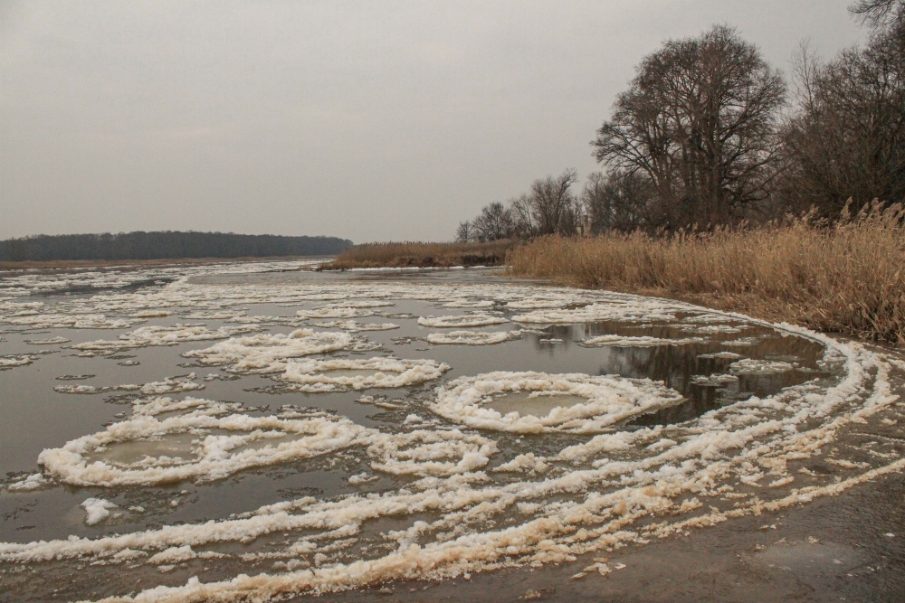 Oder