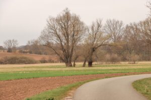 Thür. Städte