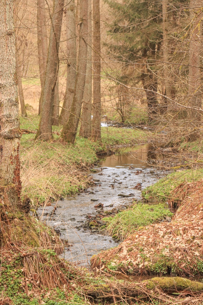 Thür. Städte