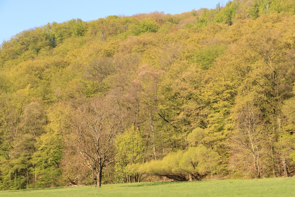 Unterharz
