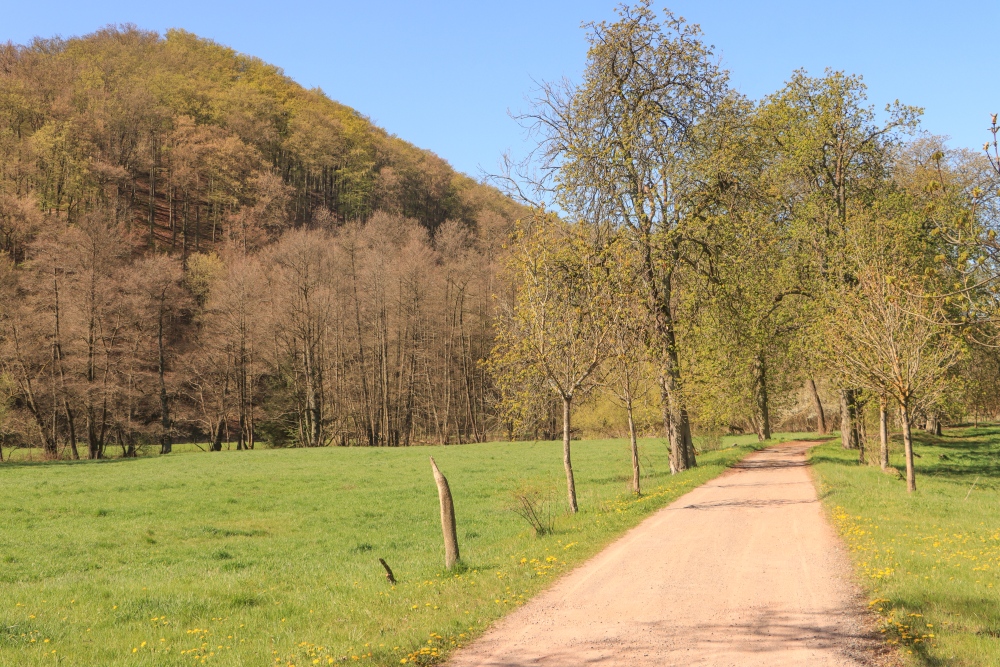 Unterharz