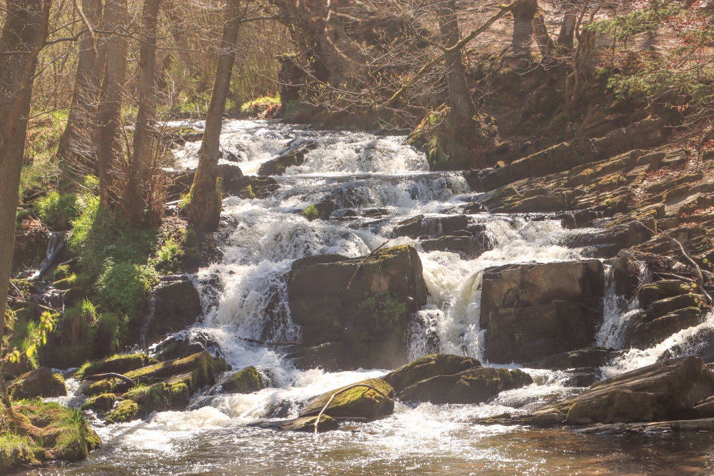 Unterharz