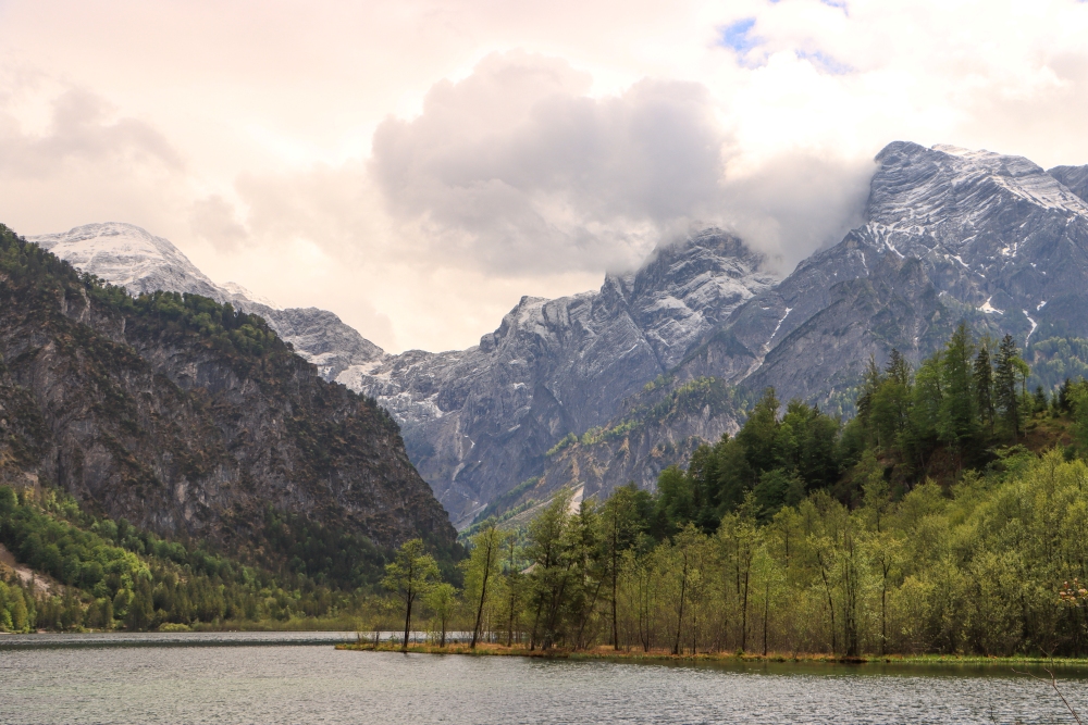 Almsee