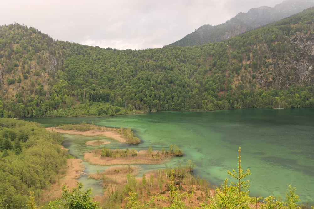 Almsee