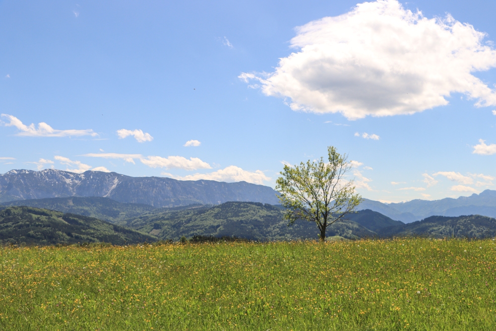 Attersee