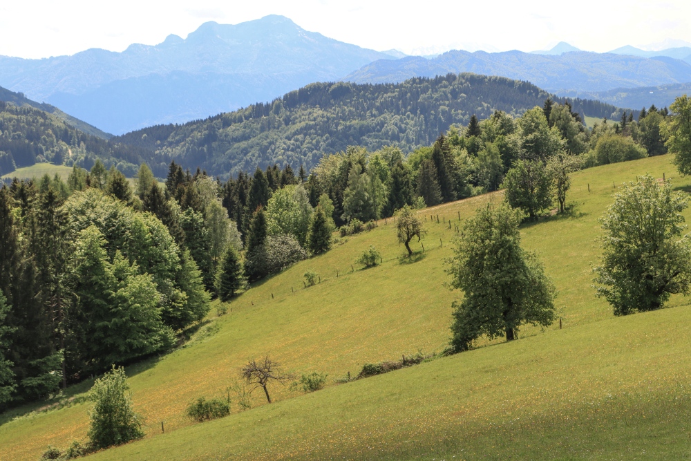 Attersee