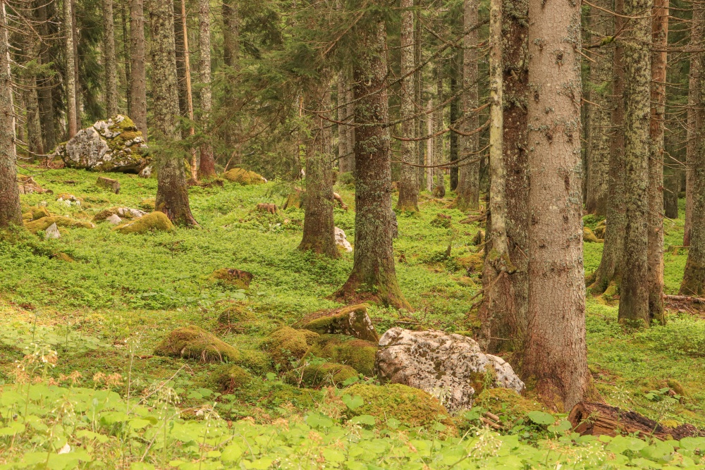 Ausseerland