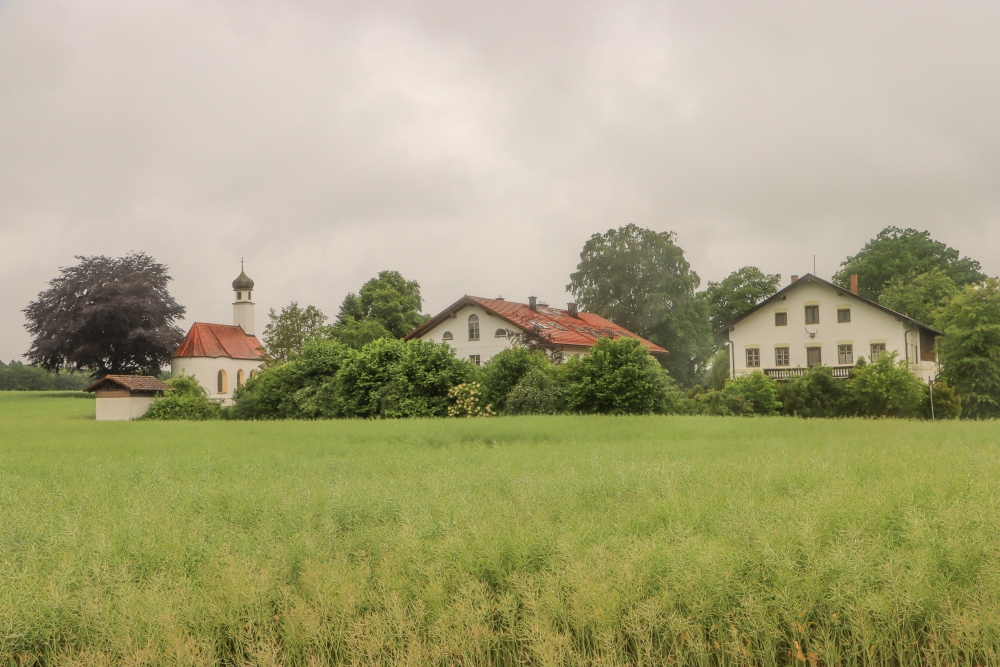Panorama