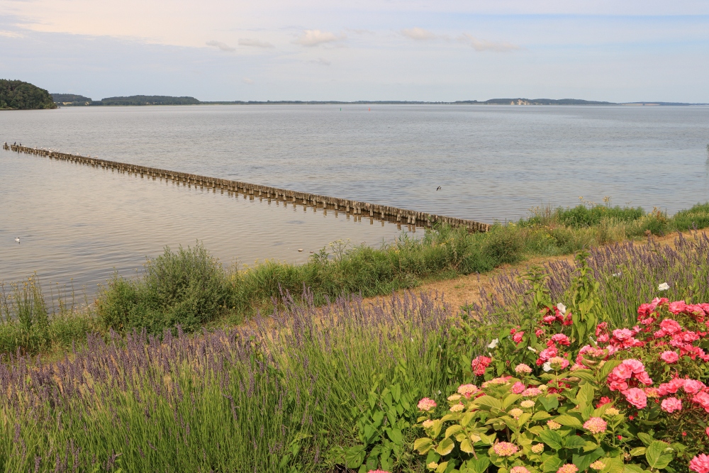 Rügen