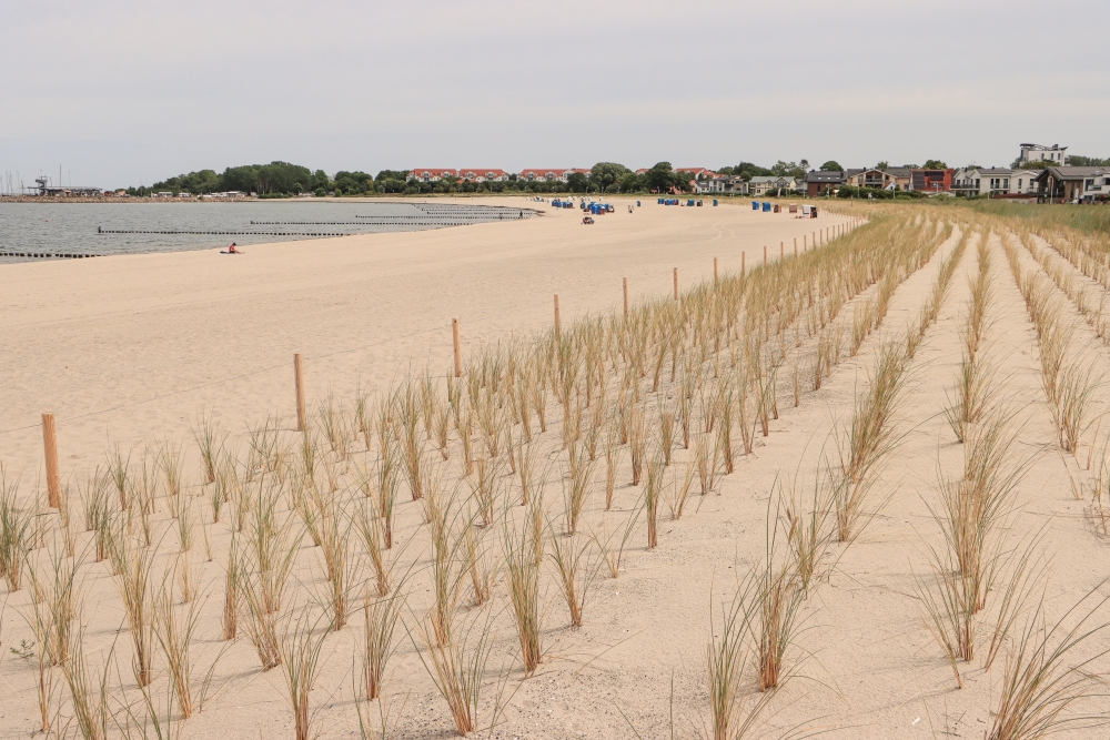 Rügen