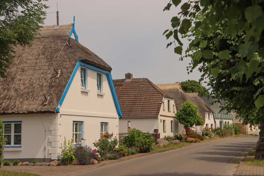 Rügen