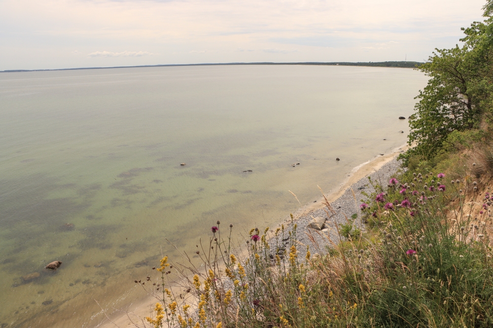 Rügen