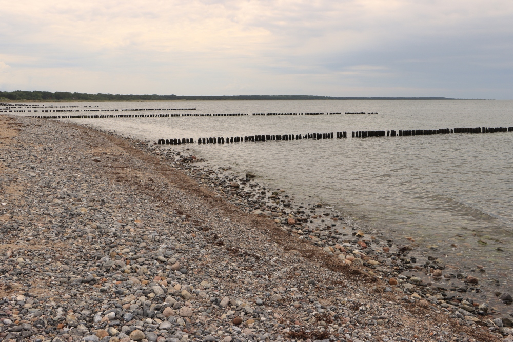 Rügen