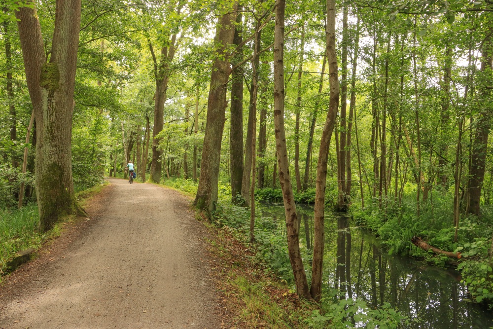 Spreewald