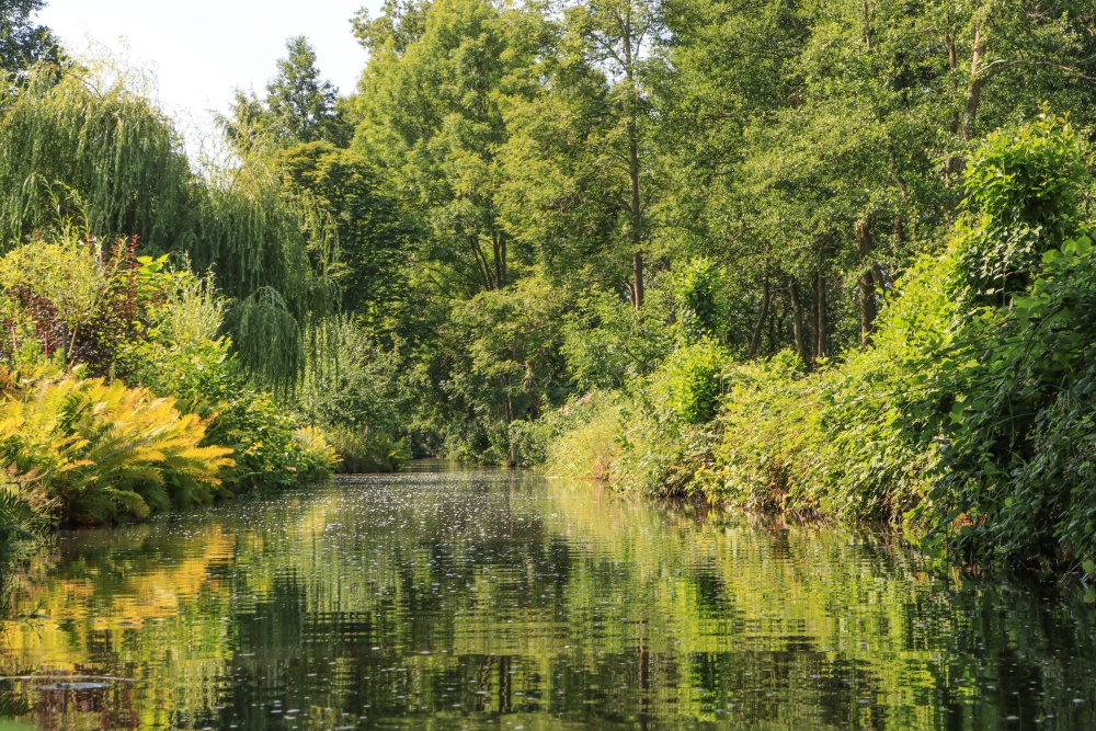 Spreewald