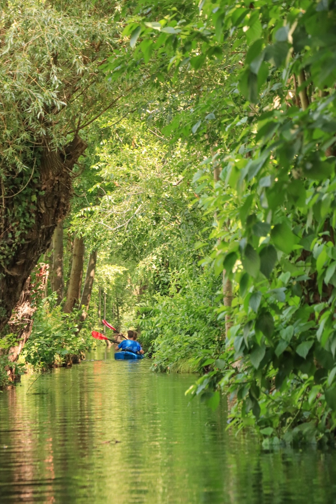 Spreewald