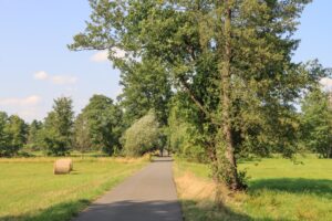 Spreewald
