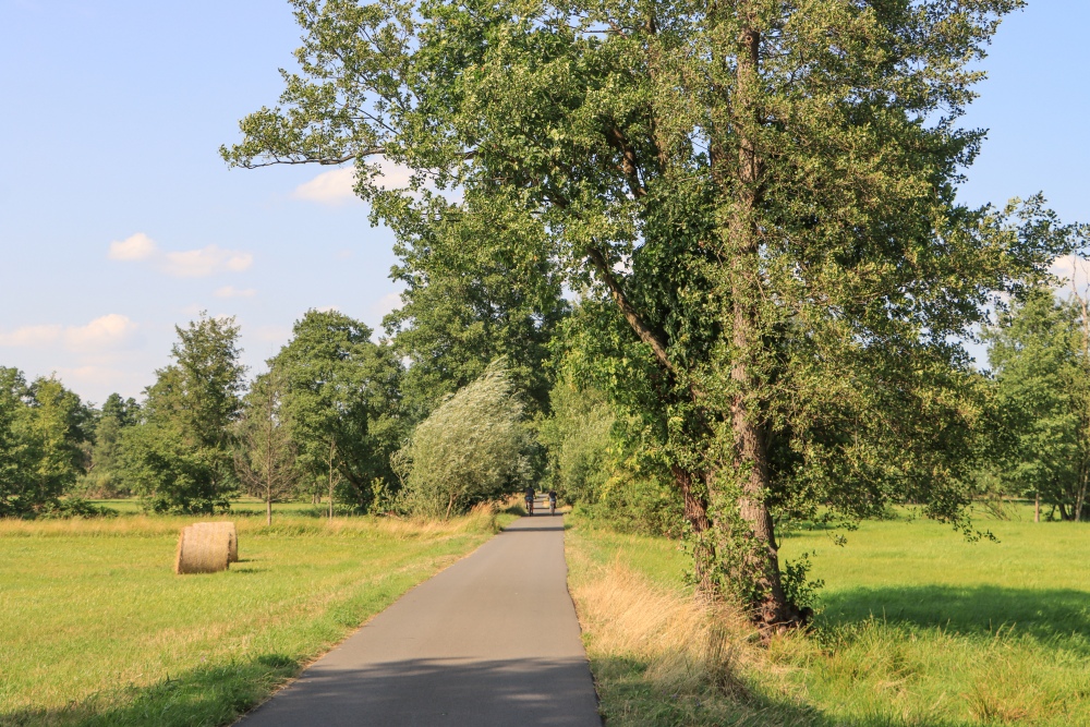 Spreewald