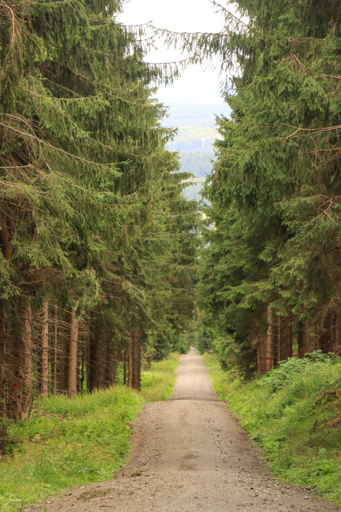 Erzgebirge
