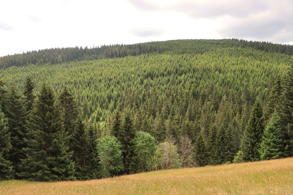 Erzgebirge