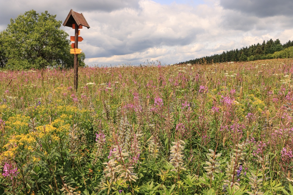Erzgebirge