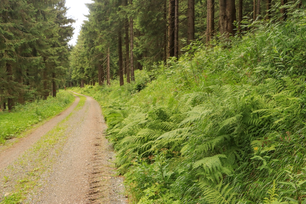 Erzgebirge