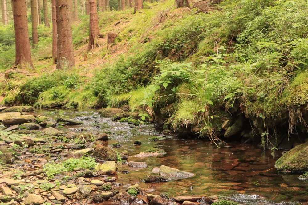 Erzgebirge