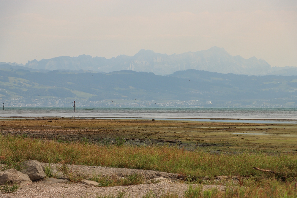 Bodensee