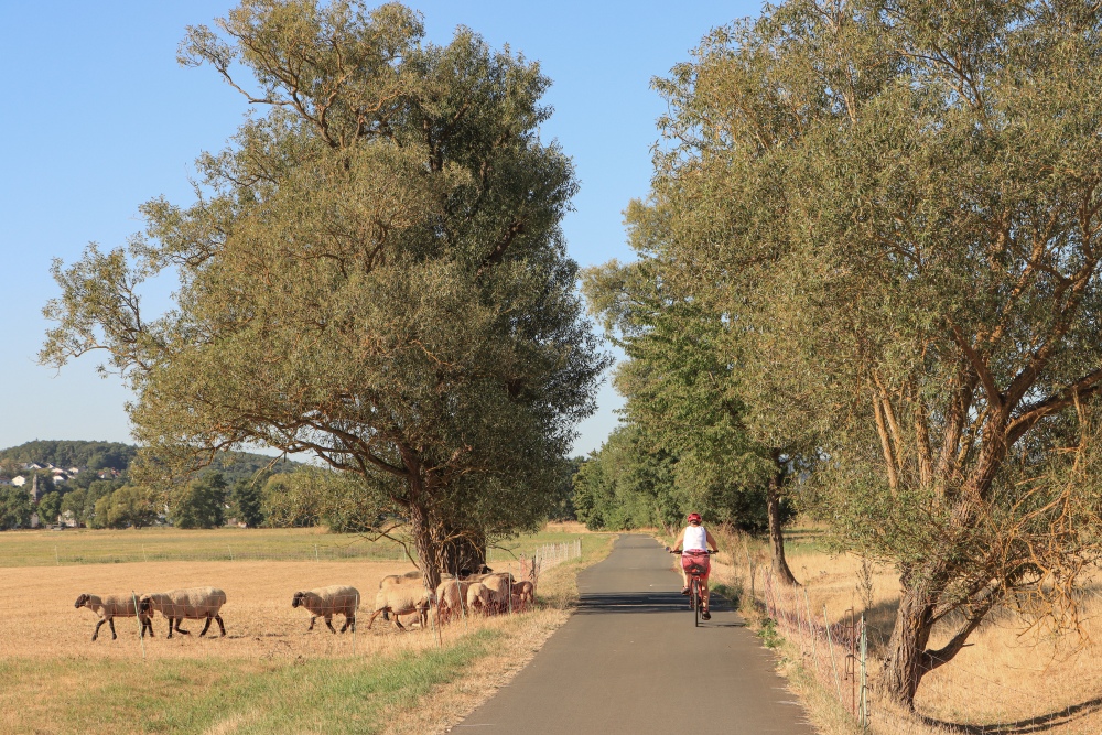 Lahntal-Radweg