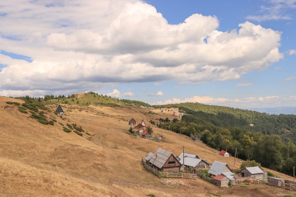 Komovi