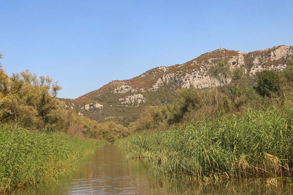 Skadar