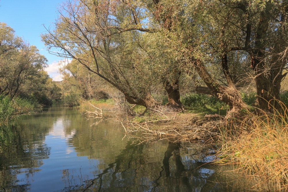 Skadar