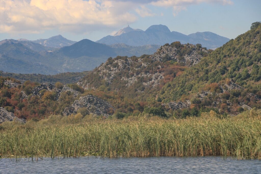 Skadar