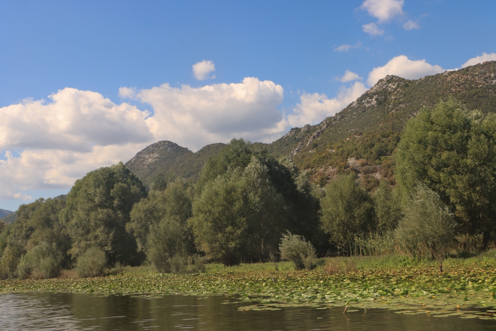 Skadar
