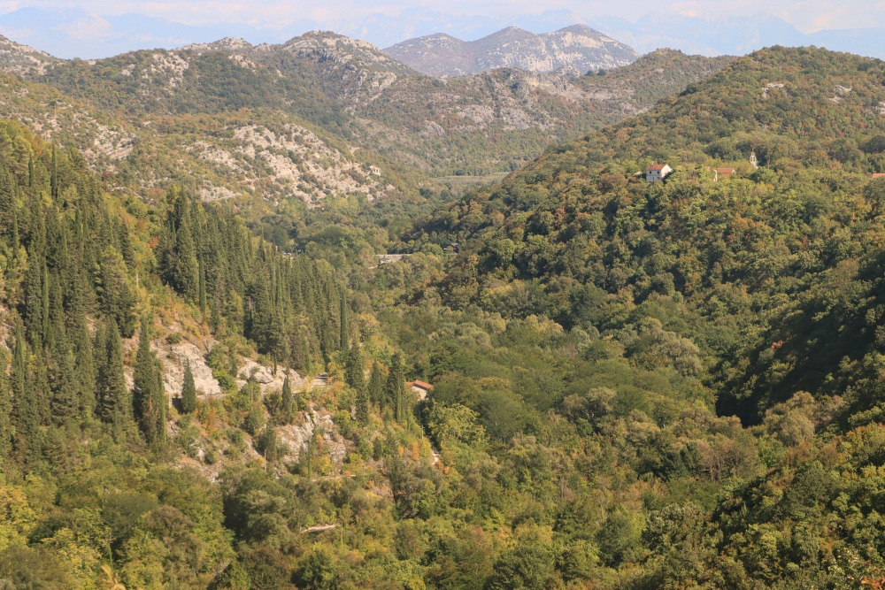 Skadar