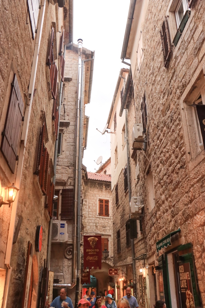 Kotor